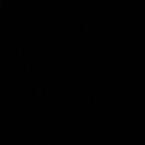 Meet your Posher, Jaylen